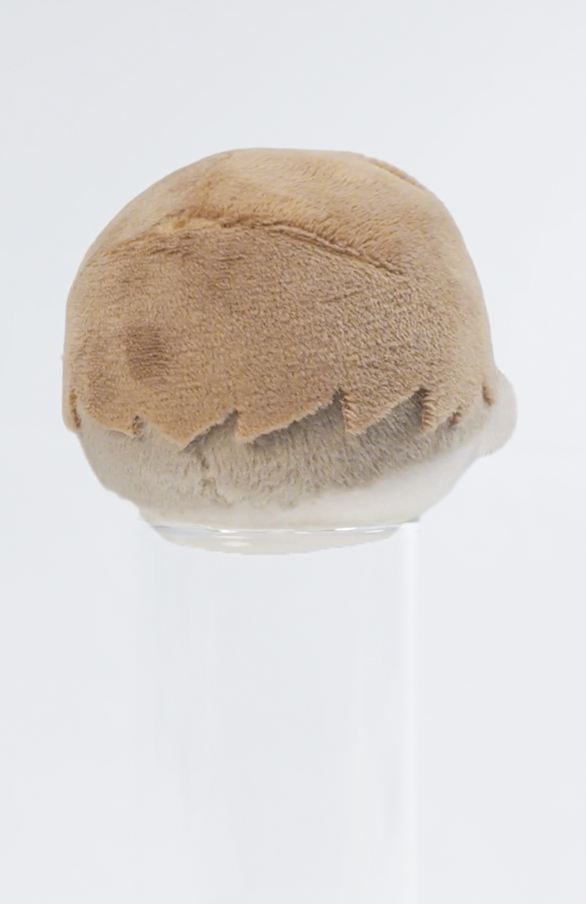 10cm立ちポーズぬい用[後ろ髪パーツ] ツーブロック