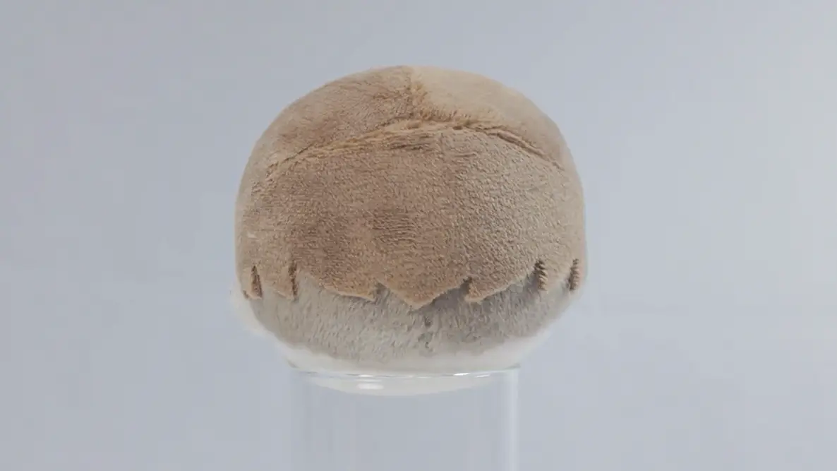 10cm立ちポーズぬい用[後ろ髪パーツ] ツーブロックの完成イメージ2