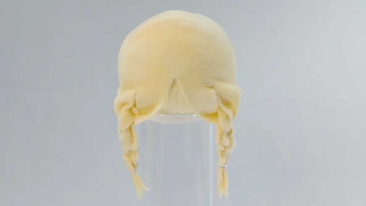 10cm立ちポーズぬい用[後ろ髪パーツ] 三つ編みの完成イメージ2