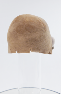 [後ろ髪パーツ] 前下がりボブ